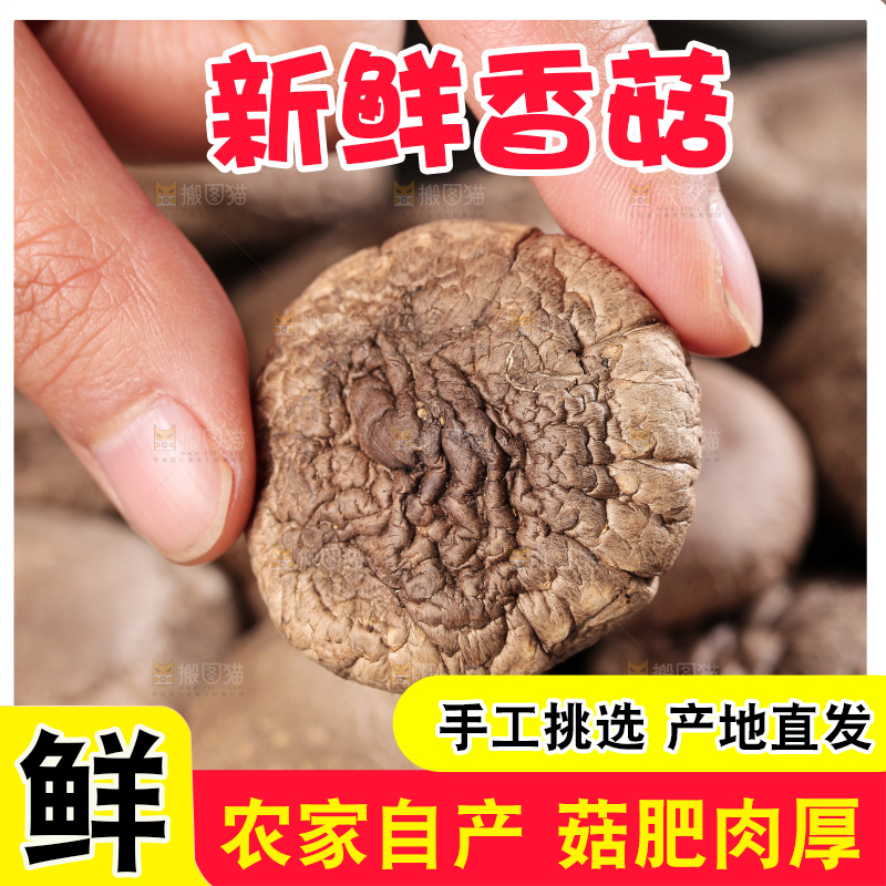 深底上的香菇