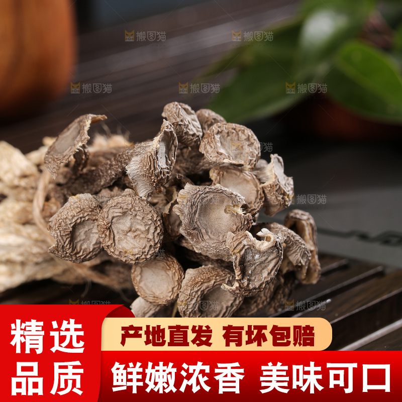 深底上鹿茸菇
