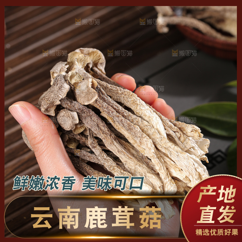 深底上鹿茸菇