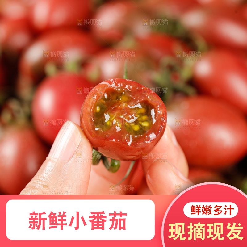 手里拿着混色小番茄