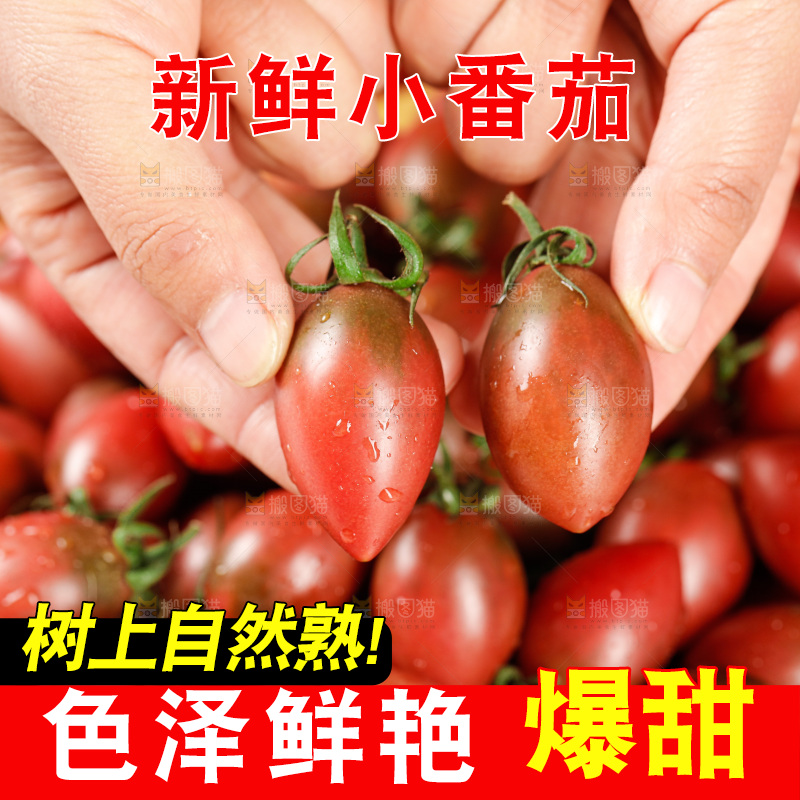 手里拿着混色小番茄