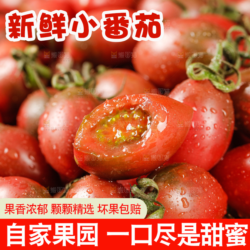 手里拿着混色小番茄