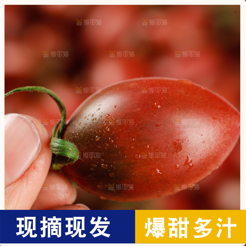 手里拿着混色小番茄