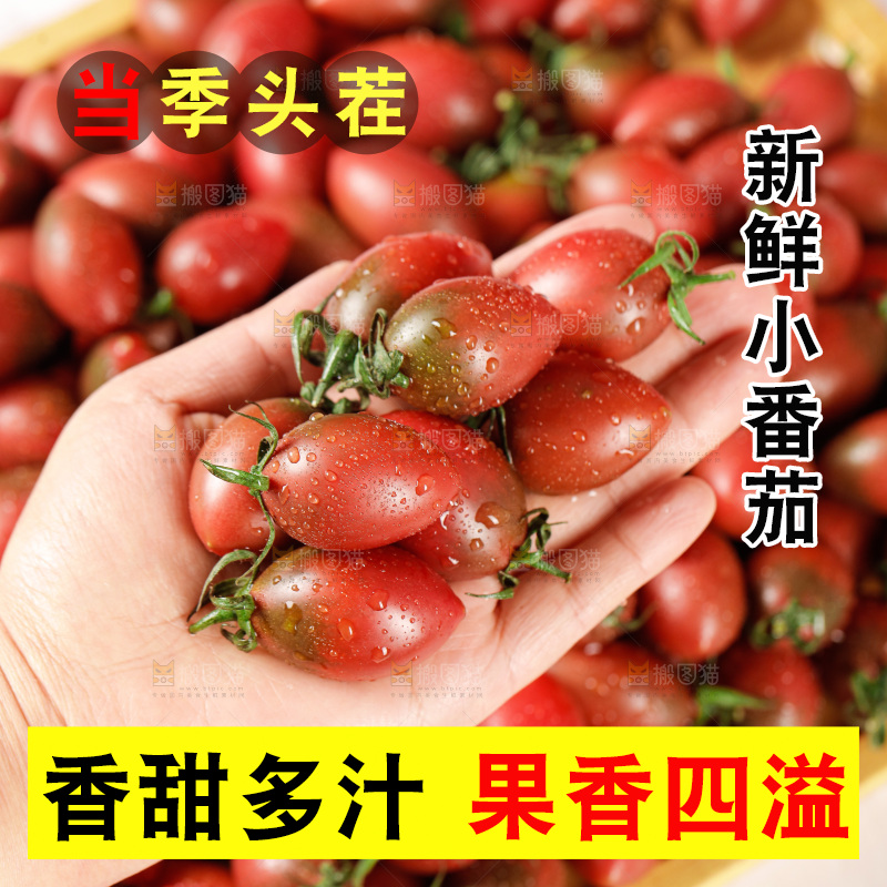 手里拿着混色小番茄