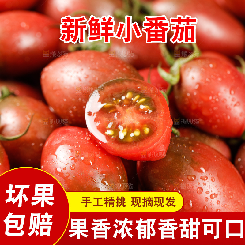 手里拿着混色小番茄