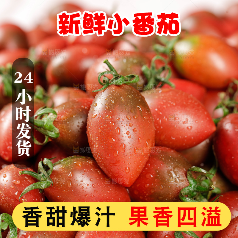 手里拿着混色小番茄
