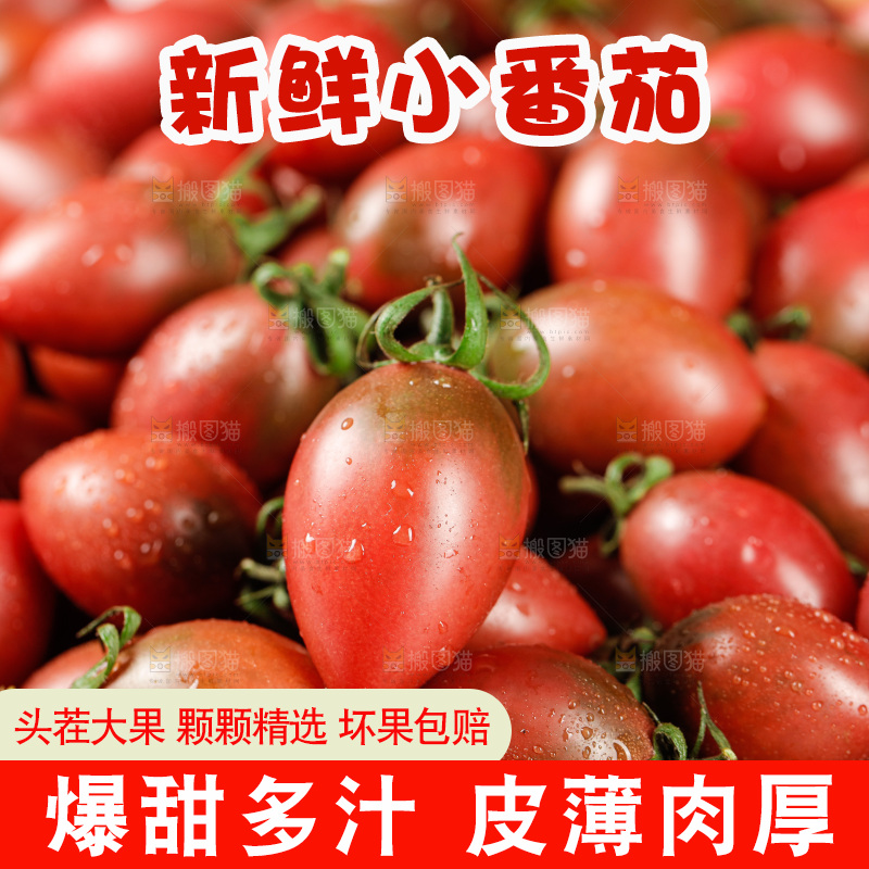 手里拿着混色小番茄