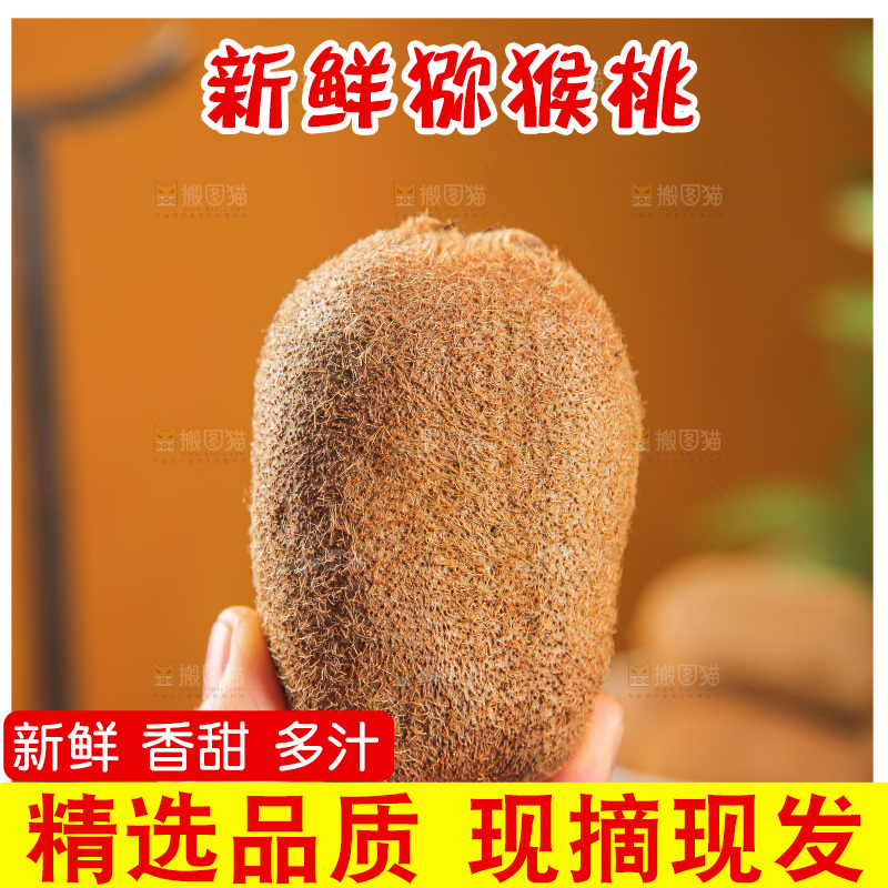 浅底上的猕猴桃