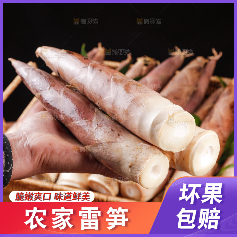深底上的雷笋