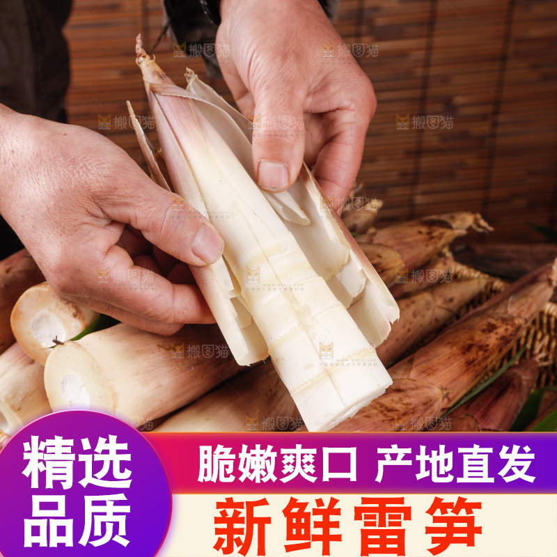 深底上的雷笋