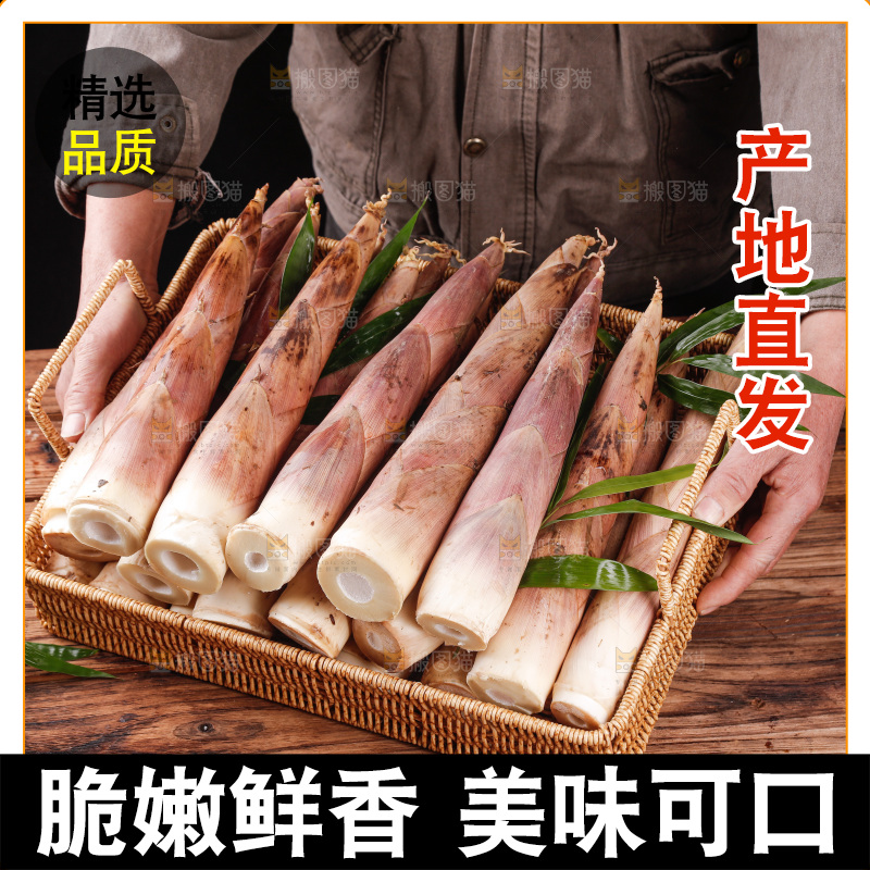 深底上的雷笋
