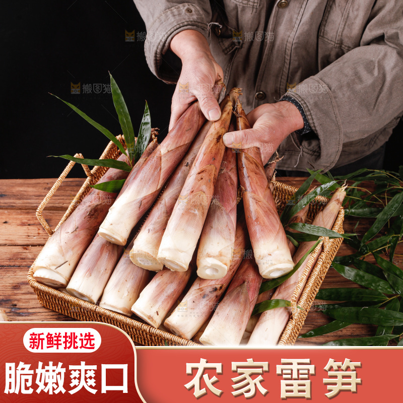 深底上的雷笋
