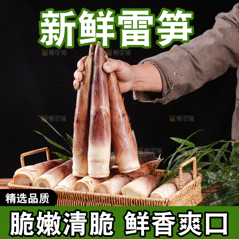 深底上的雷笋
