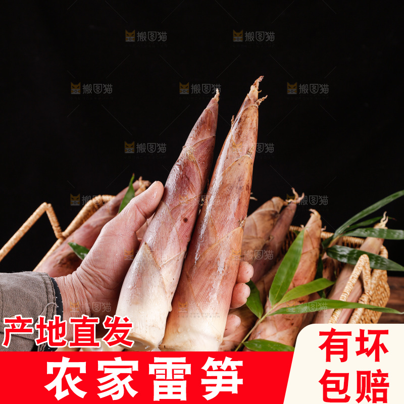深底上的雷笋