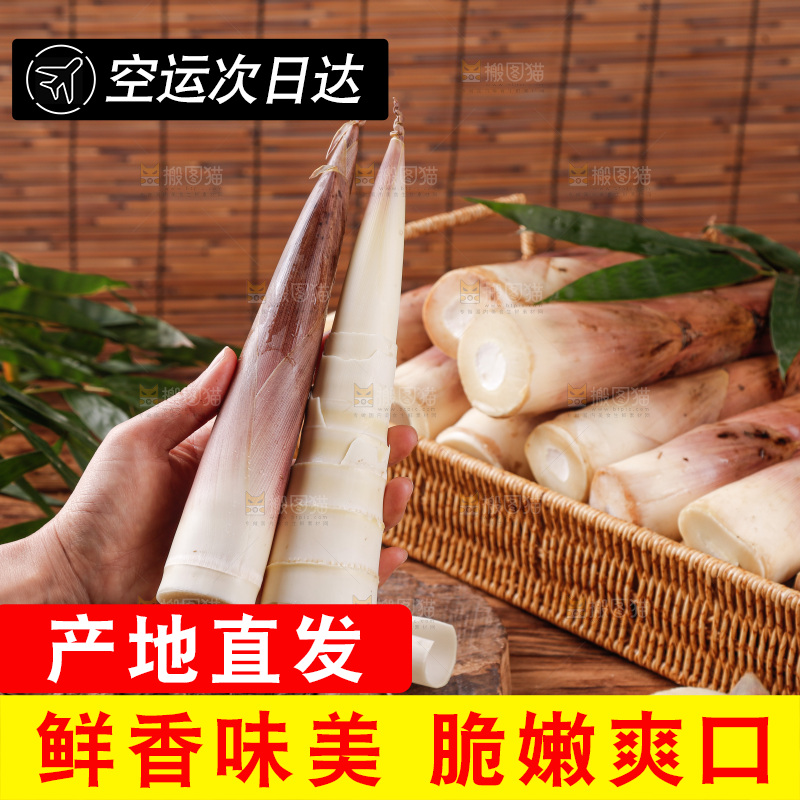 深底上的雷笋