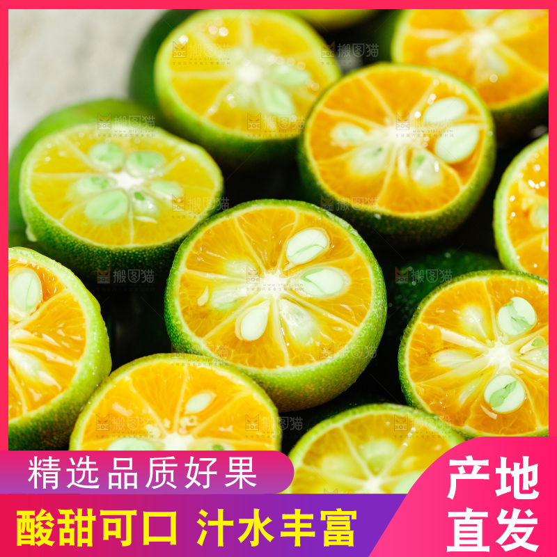 浅底上的小青桔