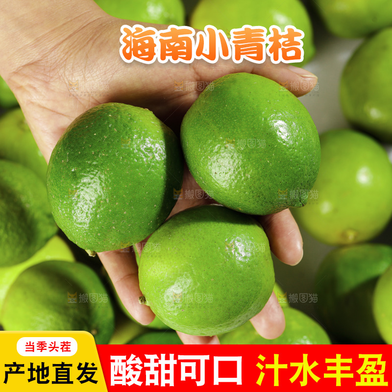 浅底上的小青桔