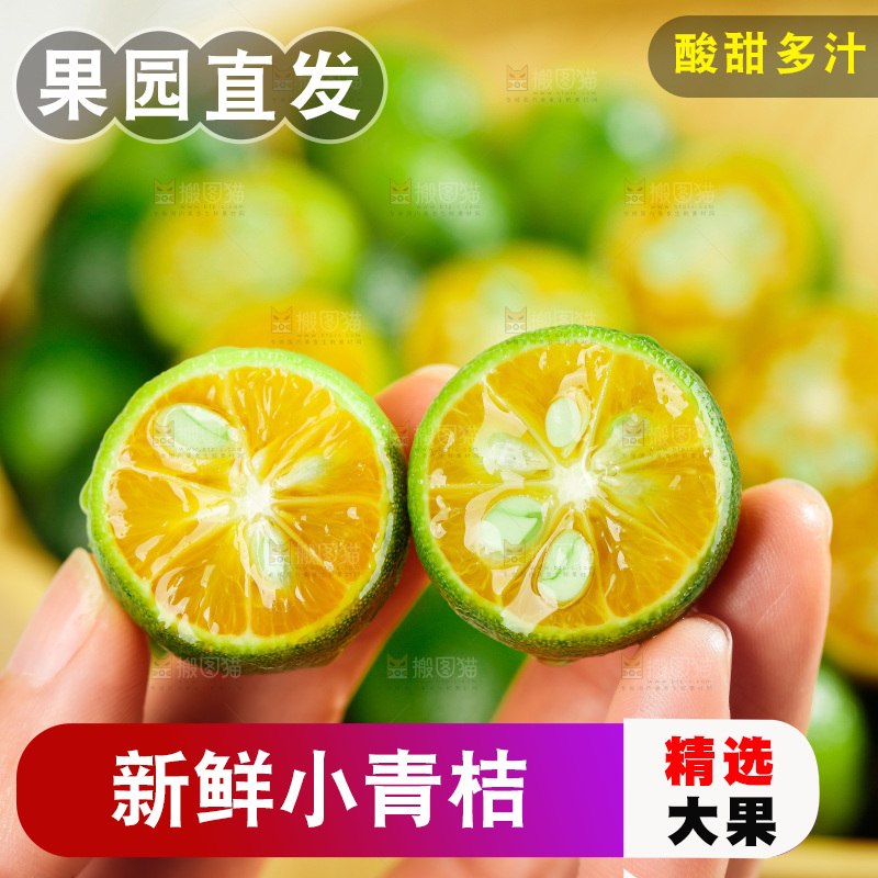 浅底上的小青桔