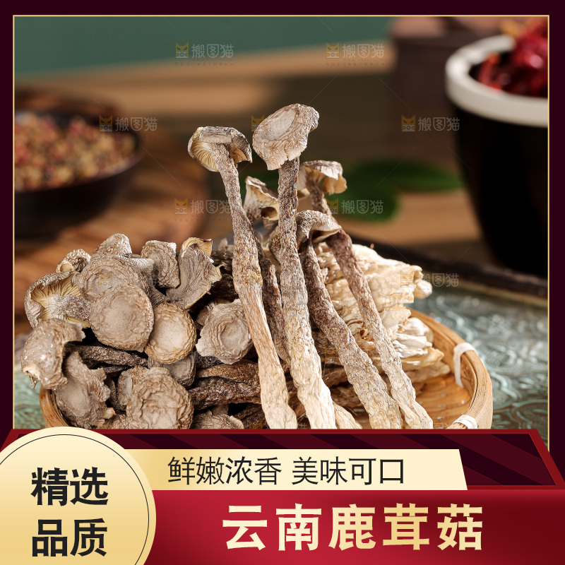 深底上的鹿茸菌