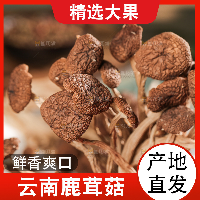 深底上的鹿茸菌