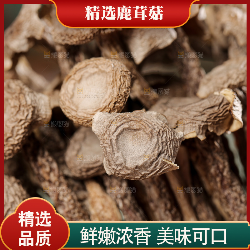 深底上的鹿茸菌