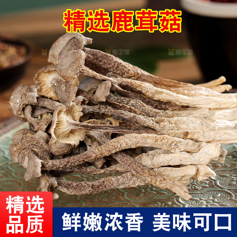 深底上的鹿茸菌