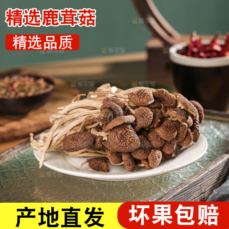 深底上的鹿茸菌