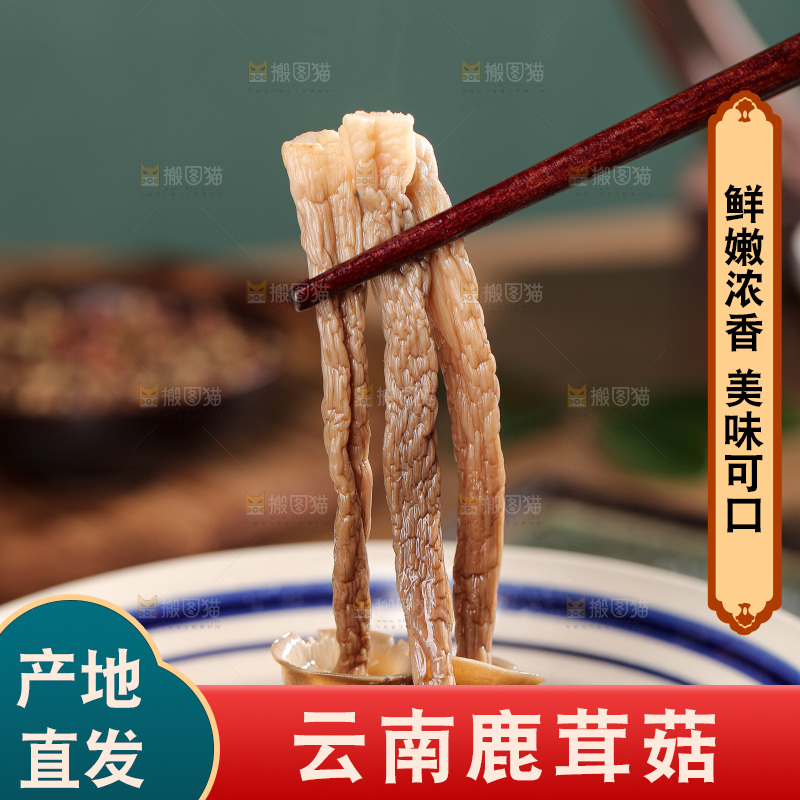 深底上的鹿茸菌