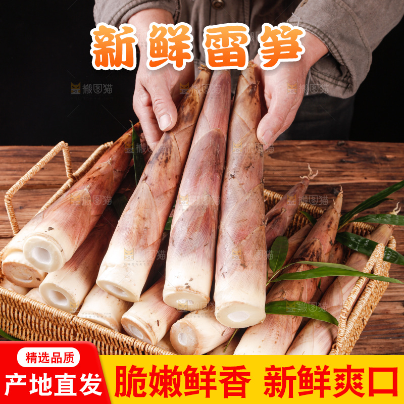 深底上的雷笋