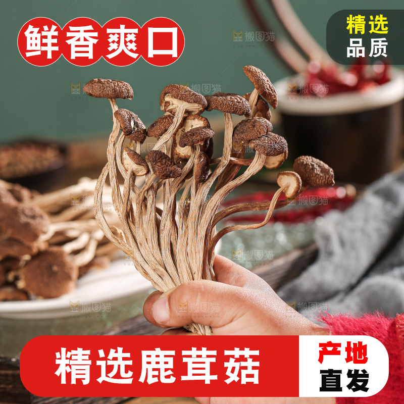 深底上的鹿茸菌
