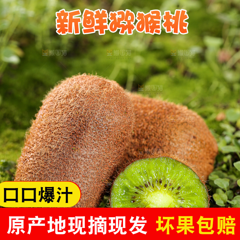 深底上的猕猴桃