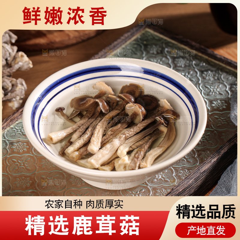深底上的鹿茸菌