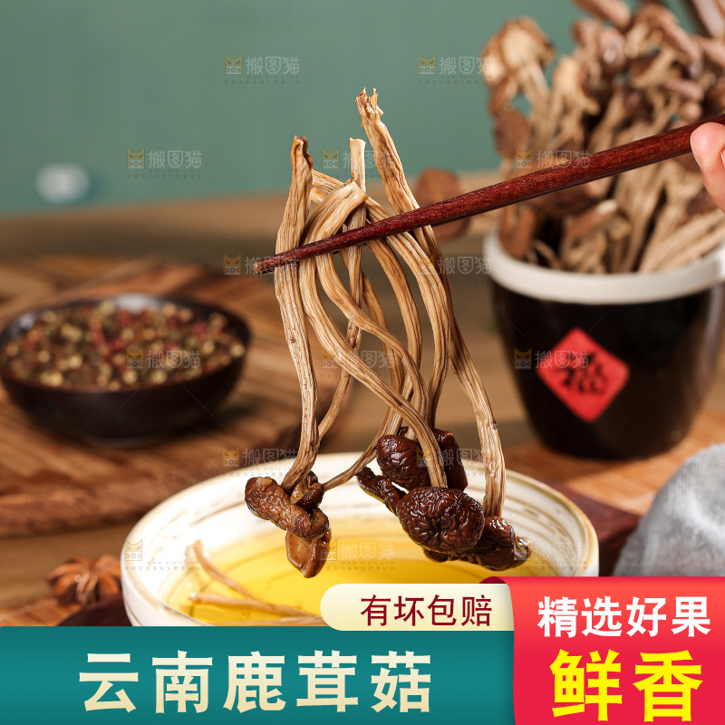 深底上的鹿茸菌