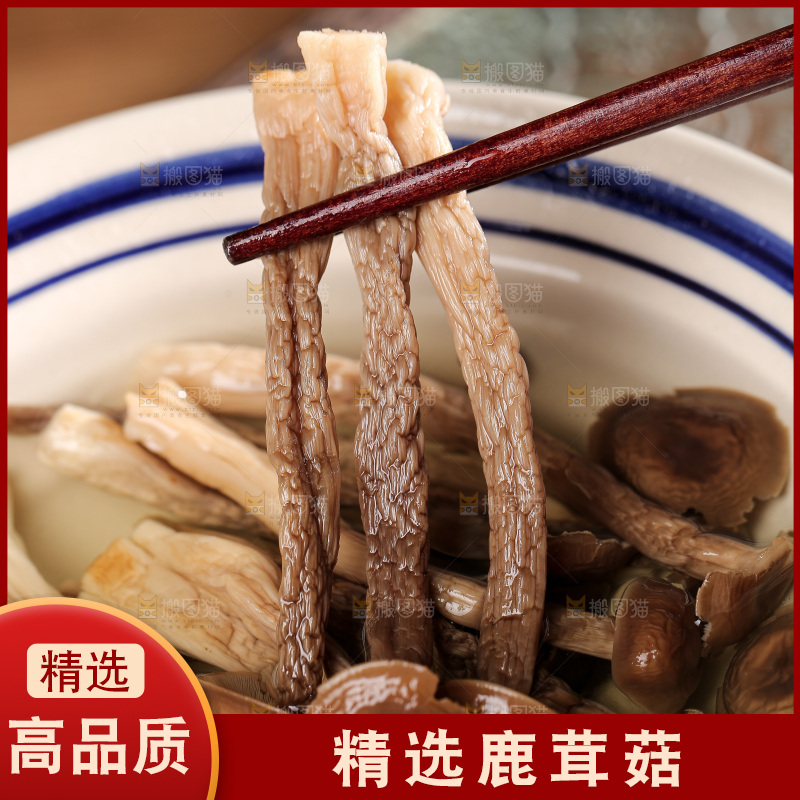 深底上的鹿茸菌