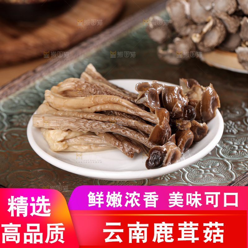 深底上的鹿茸菌