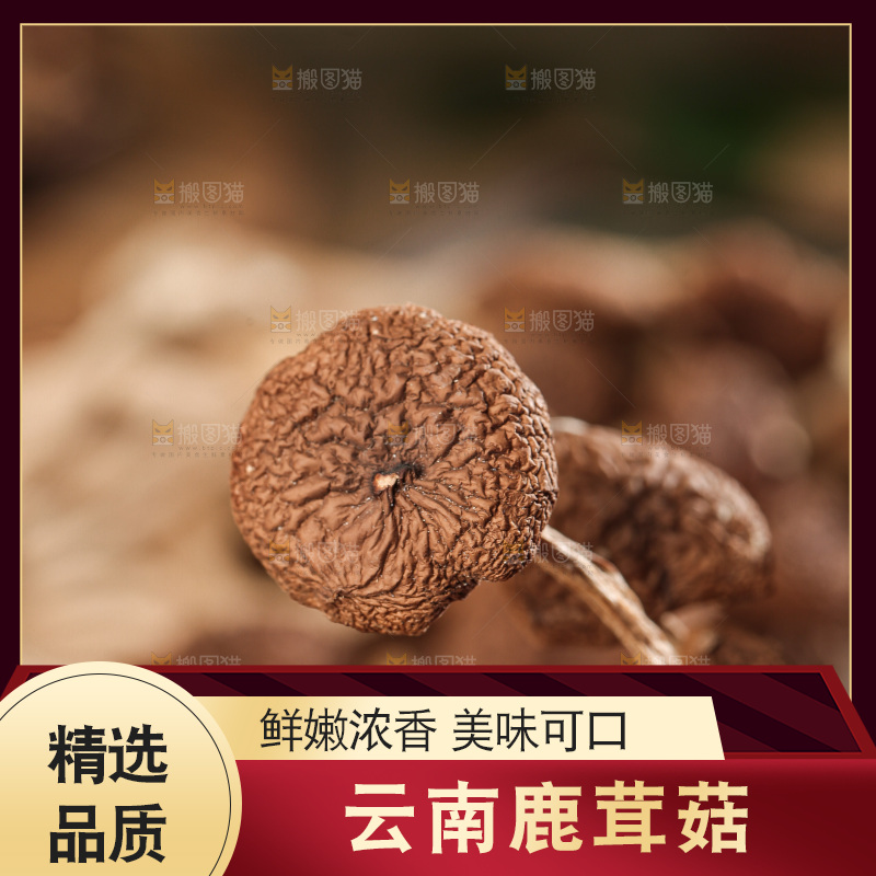 深底上的鹿茸菌