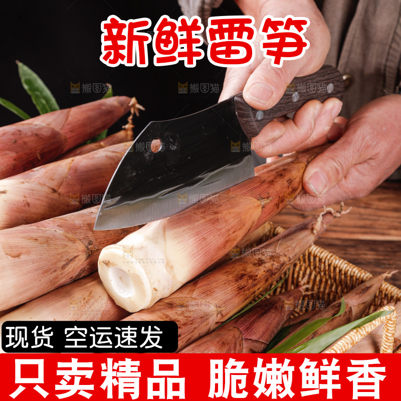 深底上的雷笋