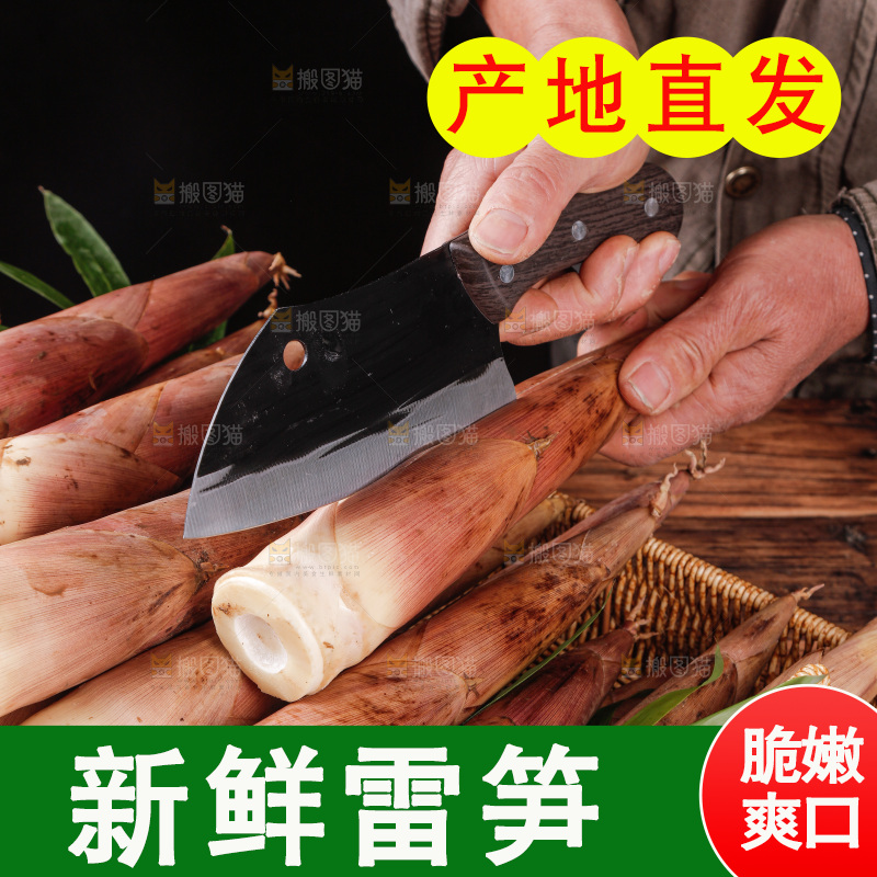 深底上的雷笋