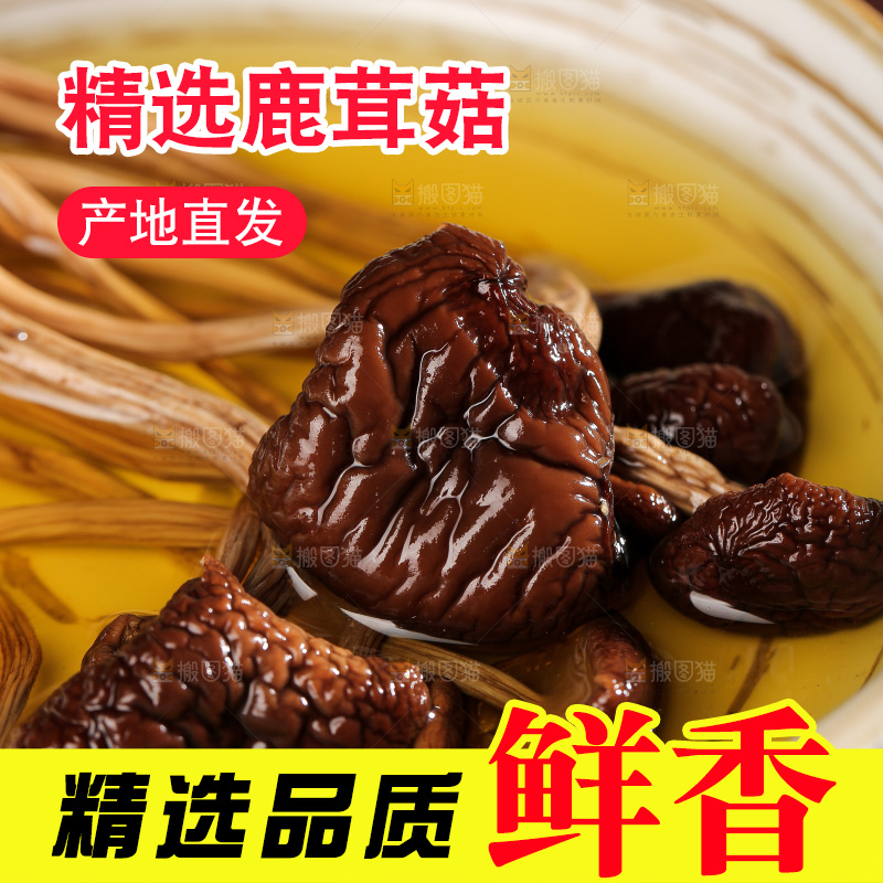 深底上的鹿茸菌