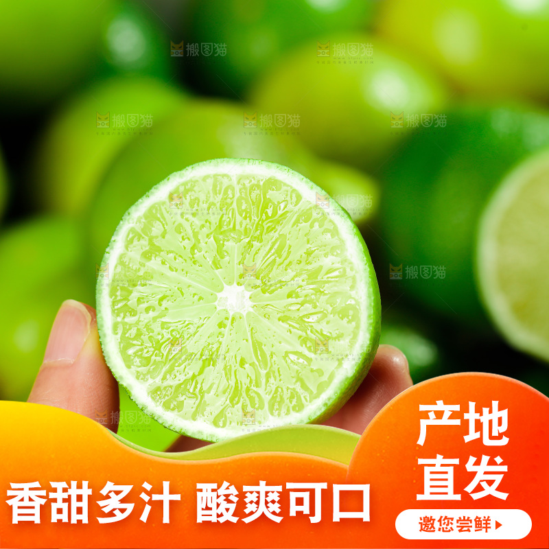 浅底上的小青桔