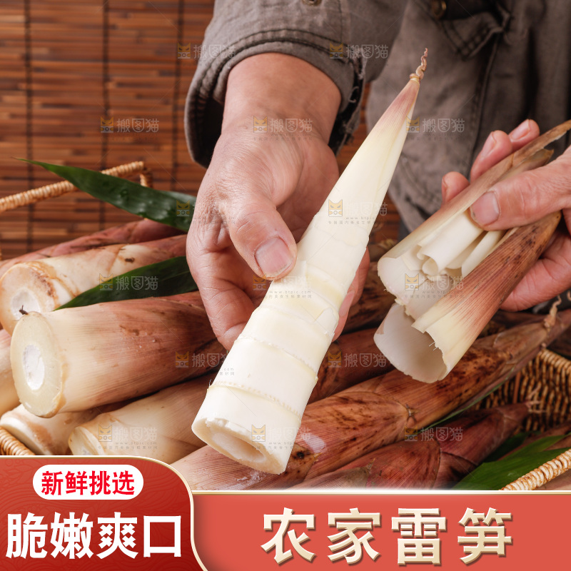 深底上的雷笋