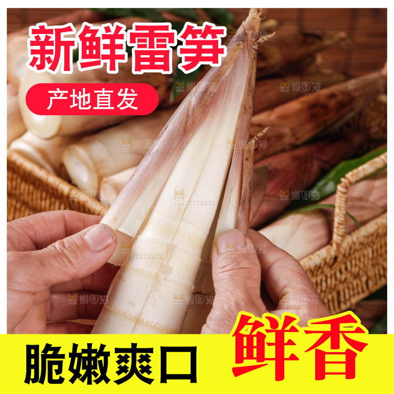 深底上的雷笋
