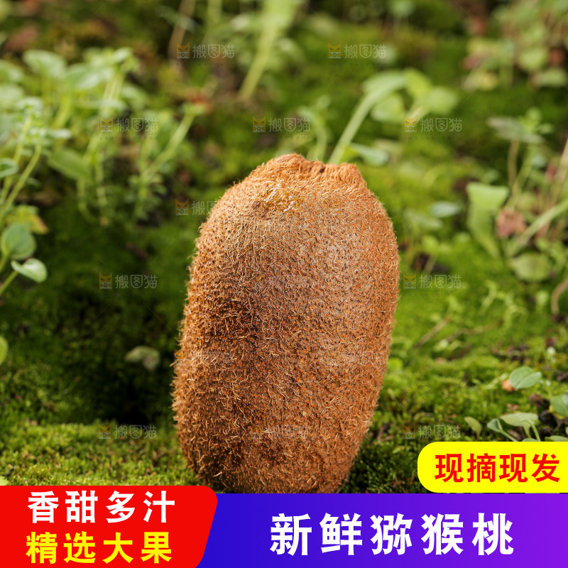 深底上的猕猴桃