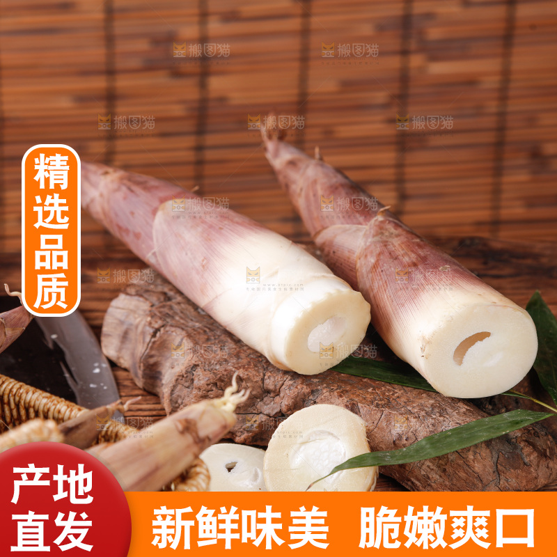 深底上的雷笋