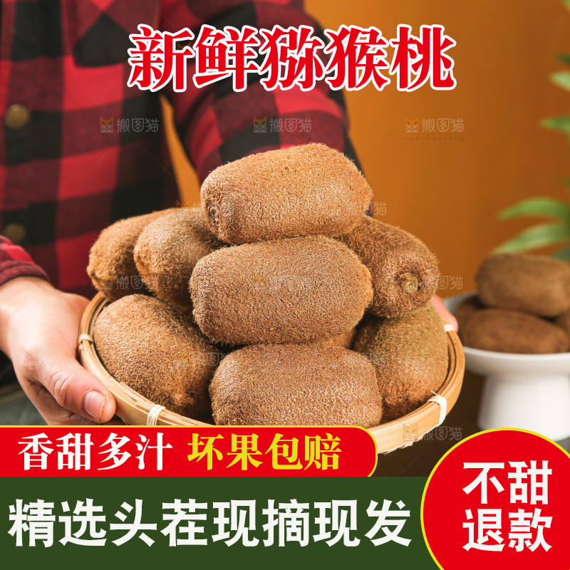 浅底上的猕猴桃