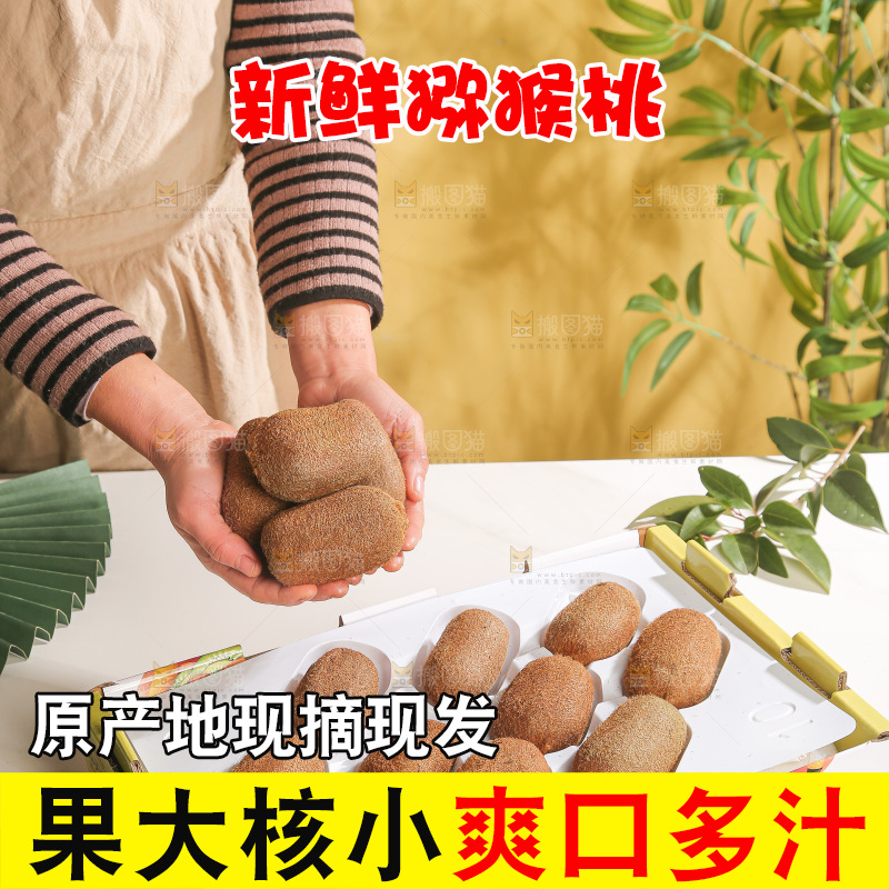 浅底上的猕猴桃