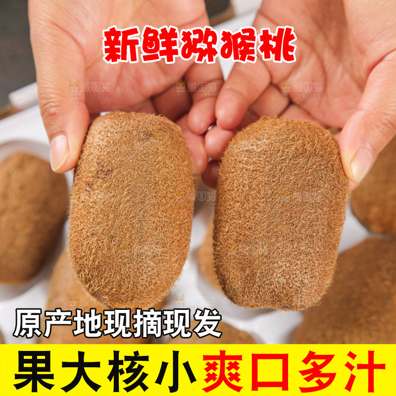 浅底上的猕猴桃