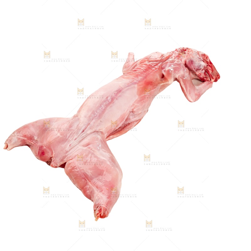 白底上的新鲜兔肉