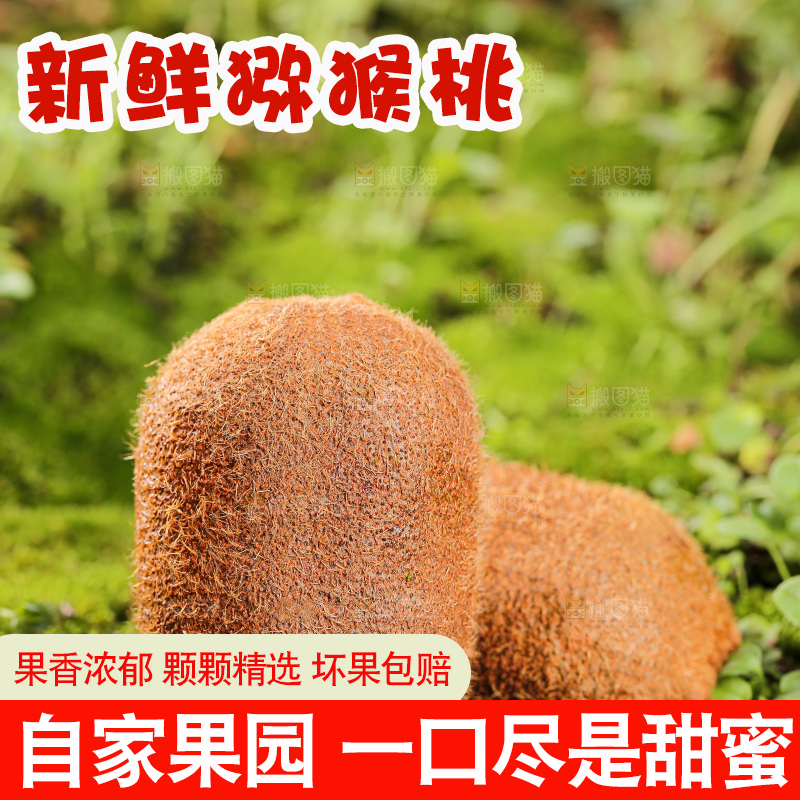 深底上的猕猴桃
