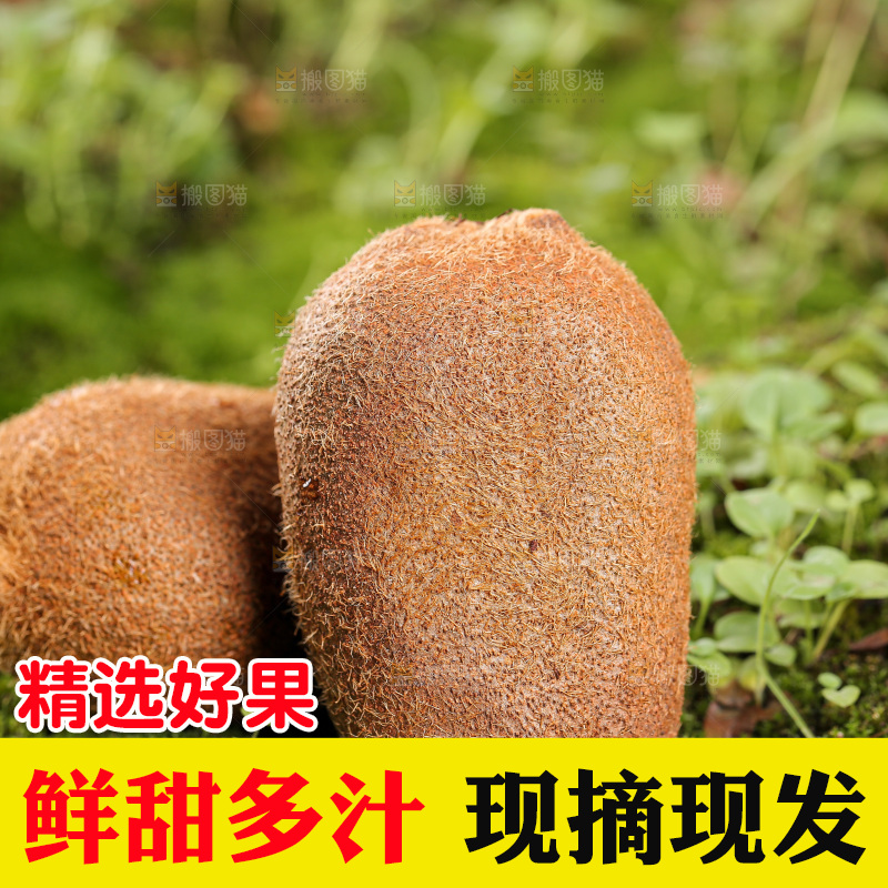 深底上的猕猴桃